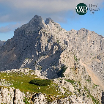 1A1A0WBA 3 photo Vlado Vujisić