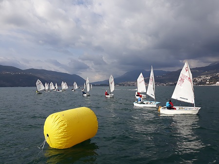 1A1A1A1AREGata 45. Kup mimoze