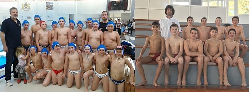 1A1A1AAVATERPOLO1504