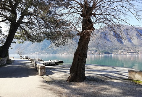 1A1A1ADOBROTA JEKI 19