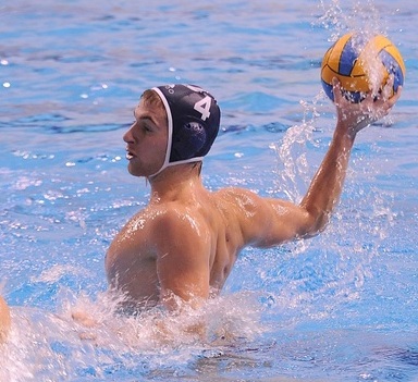 1A1A1AMARKO GOPCEVIC NET