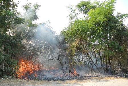 1A1A1Apozar CENTRALMEDIA