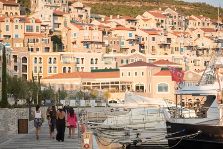 1A1AA1LuStica Bay life18