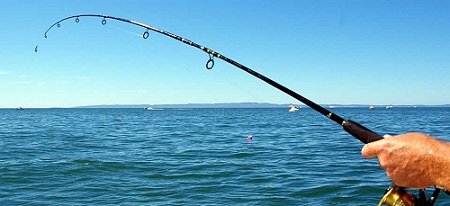 1ARibolov-NajOdmor-5