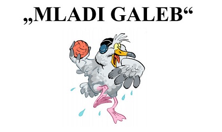 1a1a0aMladi-galeb1