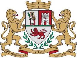 1a1a1a1aopstinagrb19