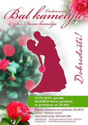 1a1a1aBal kamelija 2019