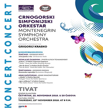 1a1a1aMCCG PLAKAT 15 XI 2018