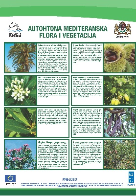 1a1a1aaekocentar delfin2004