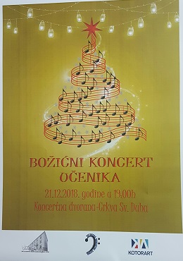 1a1a1abozicni kon muz skola