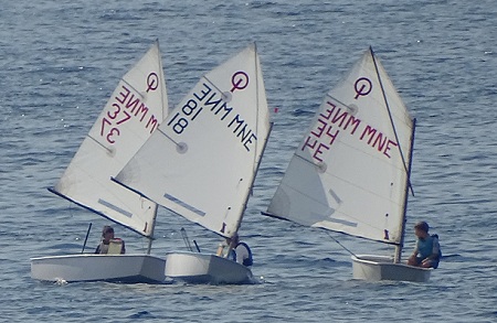 1a1a1adelfin tiv 0303