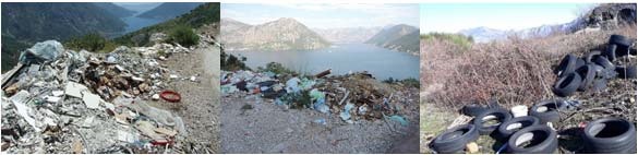 1a1a1adeponije divlje