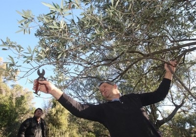 1a1a1amaline rezidba PoljoMagazin