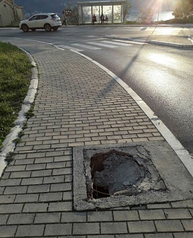 1a1a1arupa na trotoaru