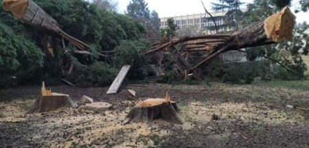 1a1a1asjeca cempresa bar