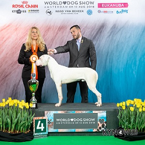 1a1a1izlpasa donciccc