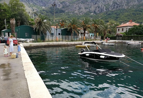 1a1a1risan mrlja vijesti me