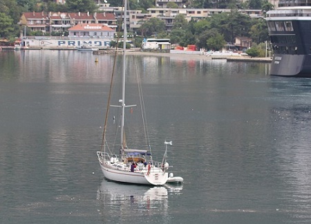 1a1a1zagadjenje peluzica