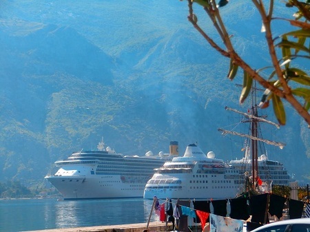 1a1abrodovi guzva  zdenka jankovic