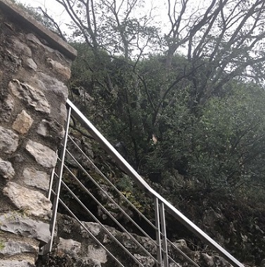 1a1acrkvasv pavlasteta