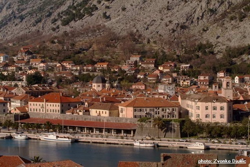 1a1ako zvonko djukic