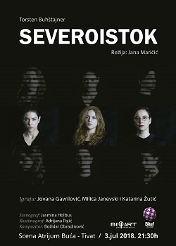 1a1aseveroistok PLAKAT