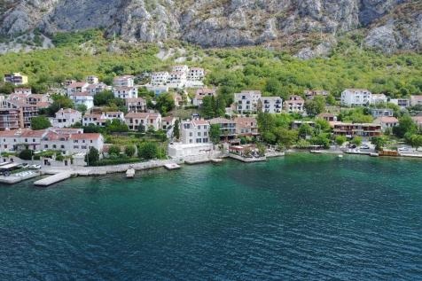 1a1dobrota neet apr 18