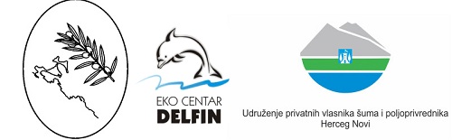 1a1ekoc delfin masl drustvo