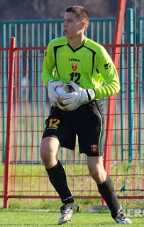 1a1nemanja lemajic dan