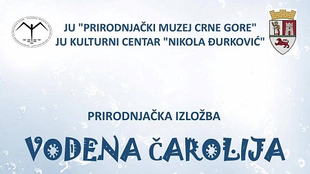 1a1vodena carolija - plakat