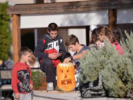 1aabundevazaosmjeh bokanews