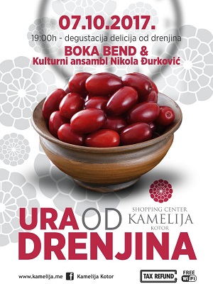 1aura od drenjina 2017