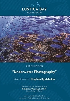 Izlozba Stephan Kyutchukov-01