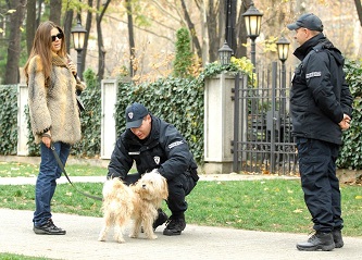 KOMUNALNA KUCNI LJUBIMCI