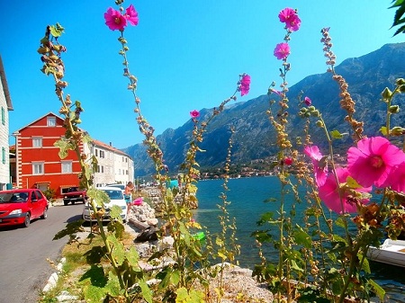 MUO ZDENKA JANKOVIC AVG 16