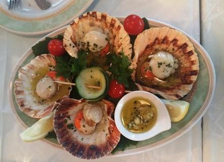 SKOLJKA JAKOBOVA KAPICA