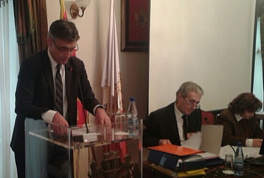 STEJEPCEVICIZVJESTAJ