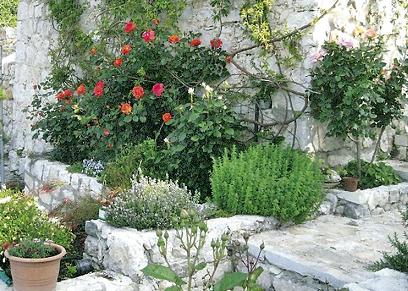 VRT MEDITERANSKI BILJE