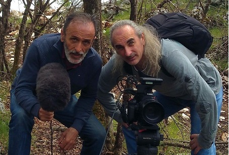 a17vladoperovicognjilo