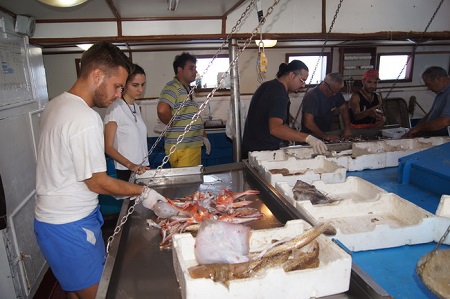 institut sortiranje ulova