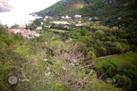 morinj gornji tranio com