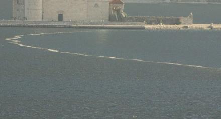 necistoca sa kruyera