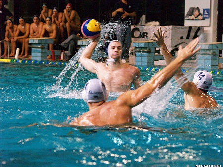 primorac radoje milic