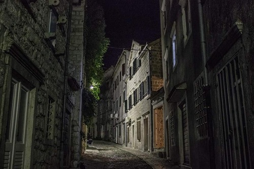 risan tamara samardzic