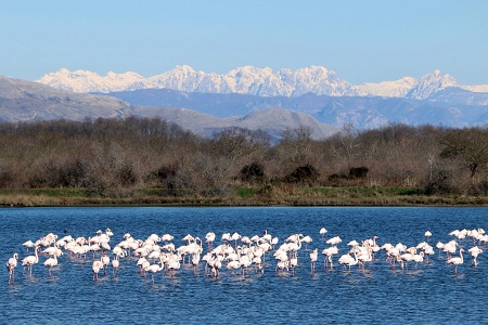 solana montenegro-for.me