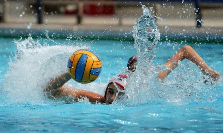 vaterpolo dubrovacki.hr