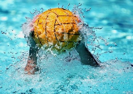 vaterpolo 231116net